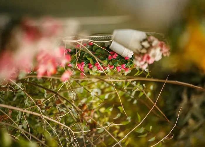 Cenka Ephesus Couette-café