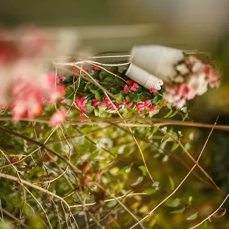 Cenka Ephesus Bed & Breakfast